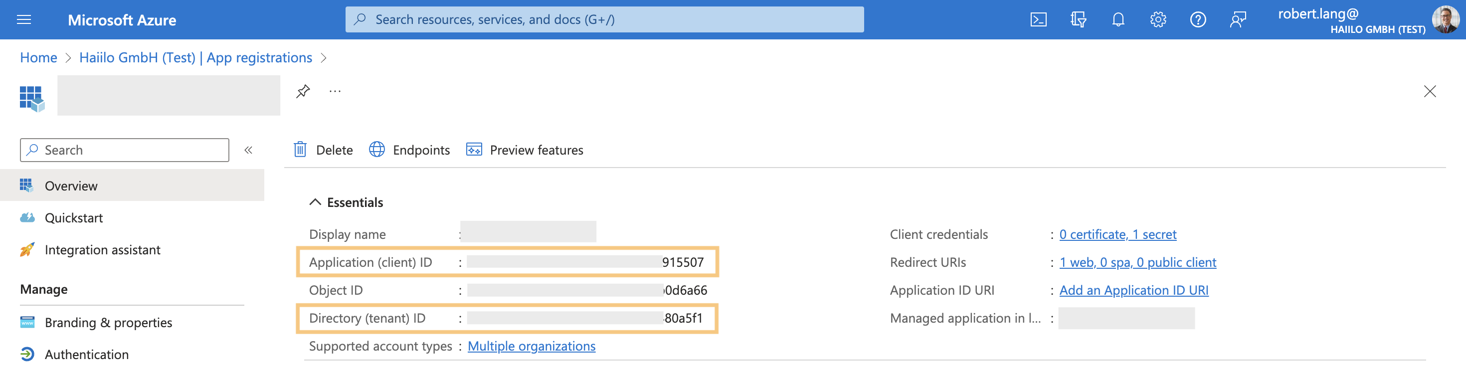 App registration overview page in Microsoft Azure.png
