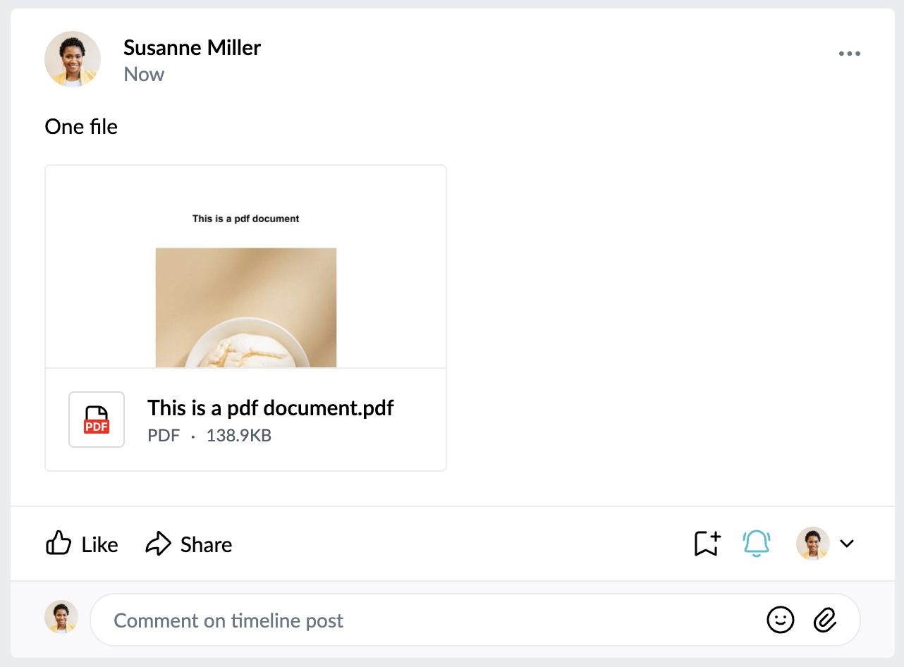 timeline post with one file.png
