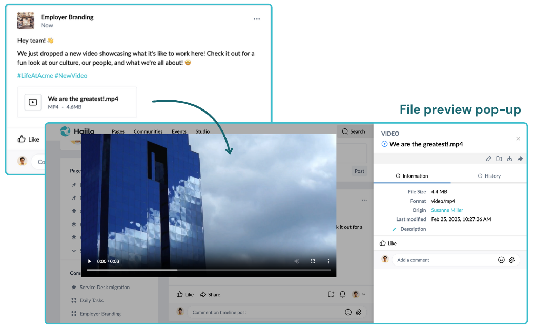 timeline video opens in the file preview pop-up.png